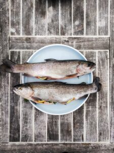 魚 動物タンパク質